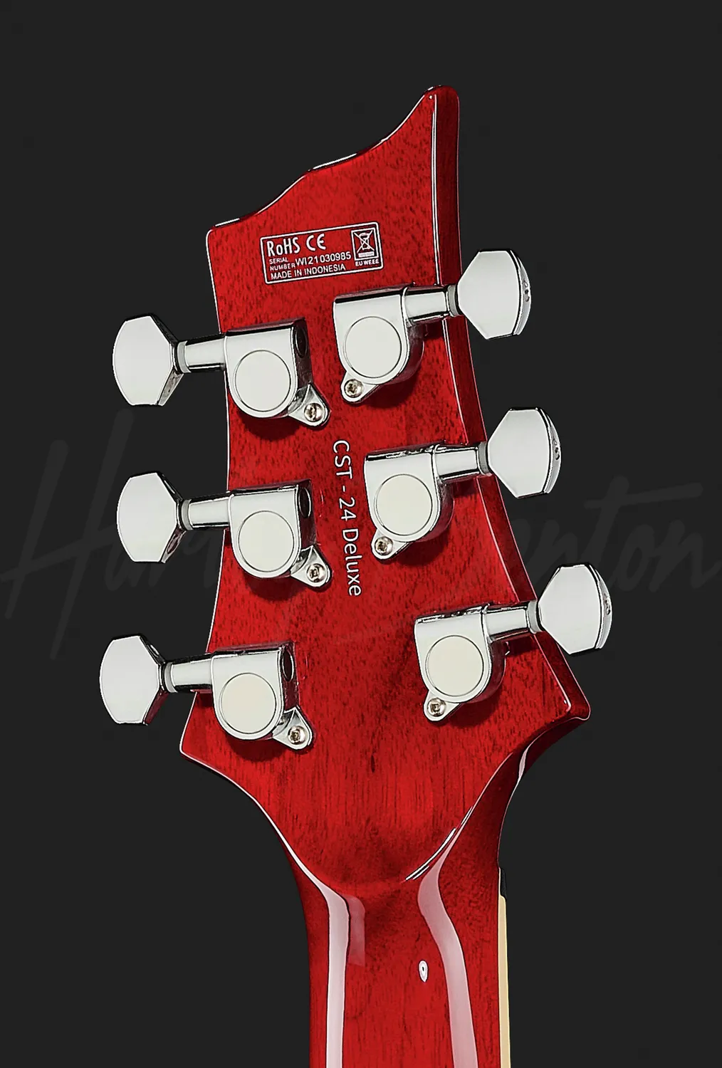 Harley Benton CST-24 Paradise Flame E-Gitarre massiv