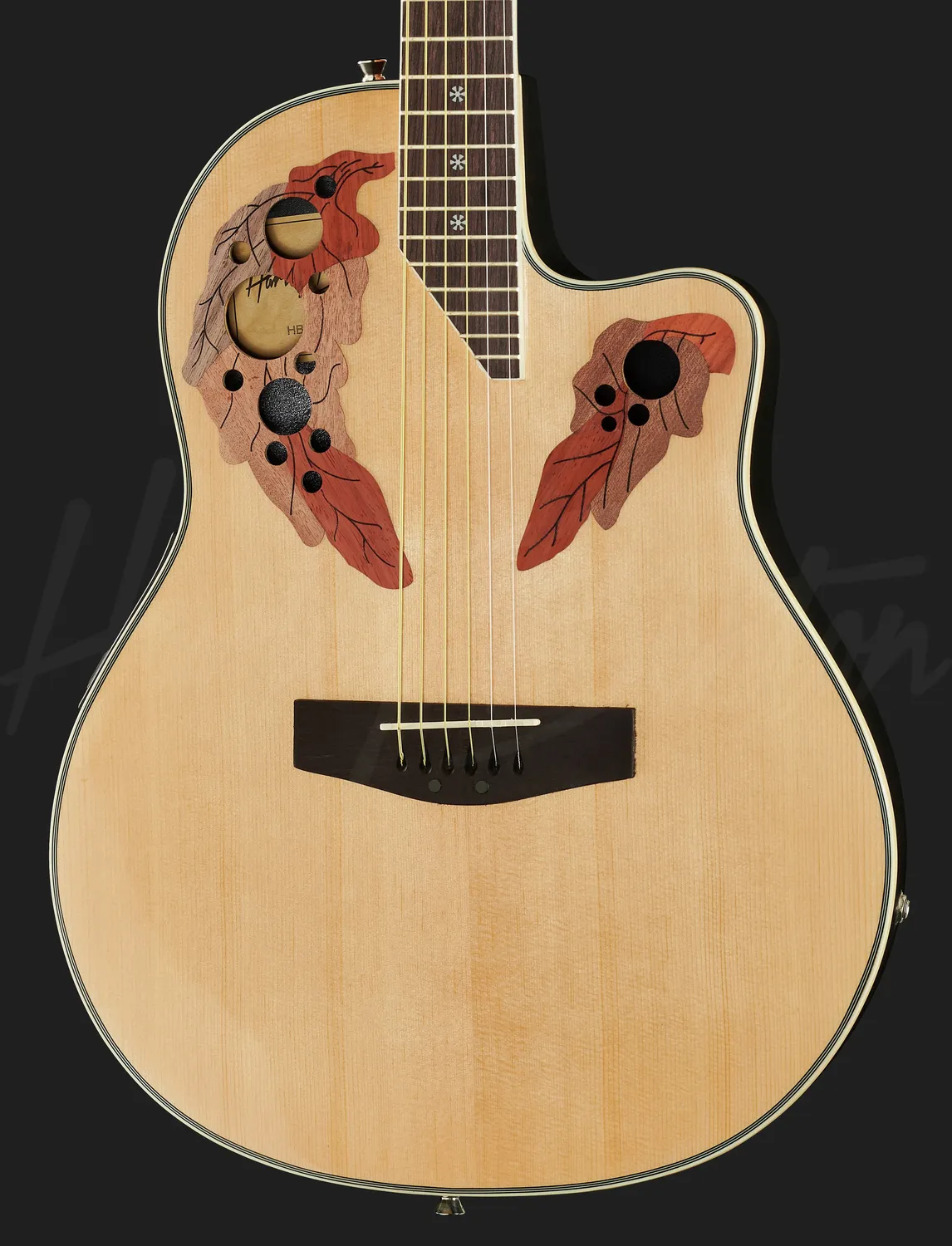 Harley Benton Custom HBO-850NT Westerngitarre Natural Elektro