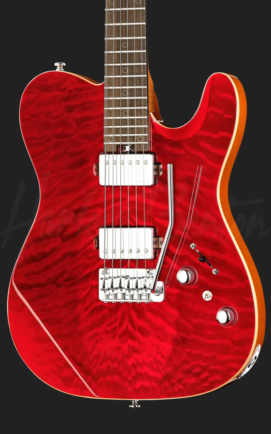 Harley Benton Fusion-T II HH RW QRB E-Gitarre Zebra