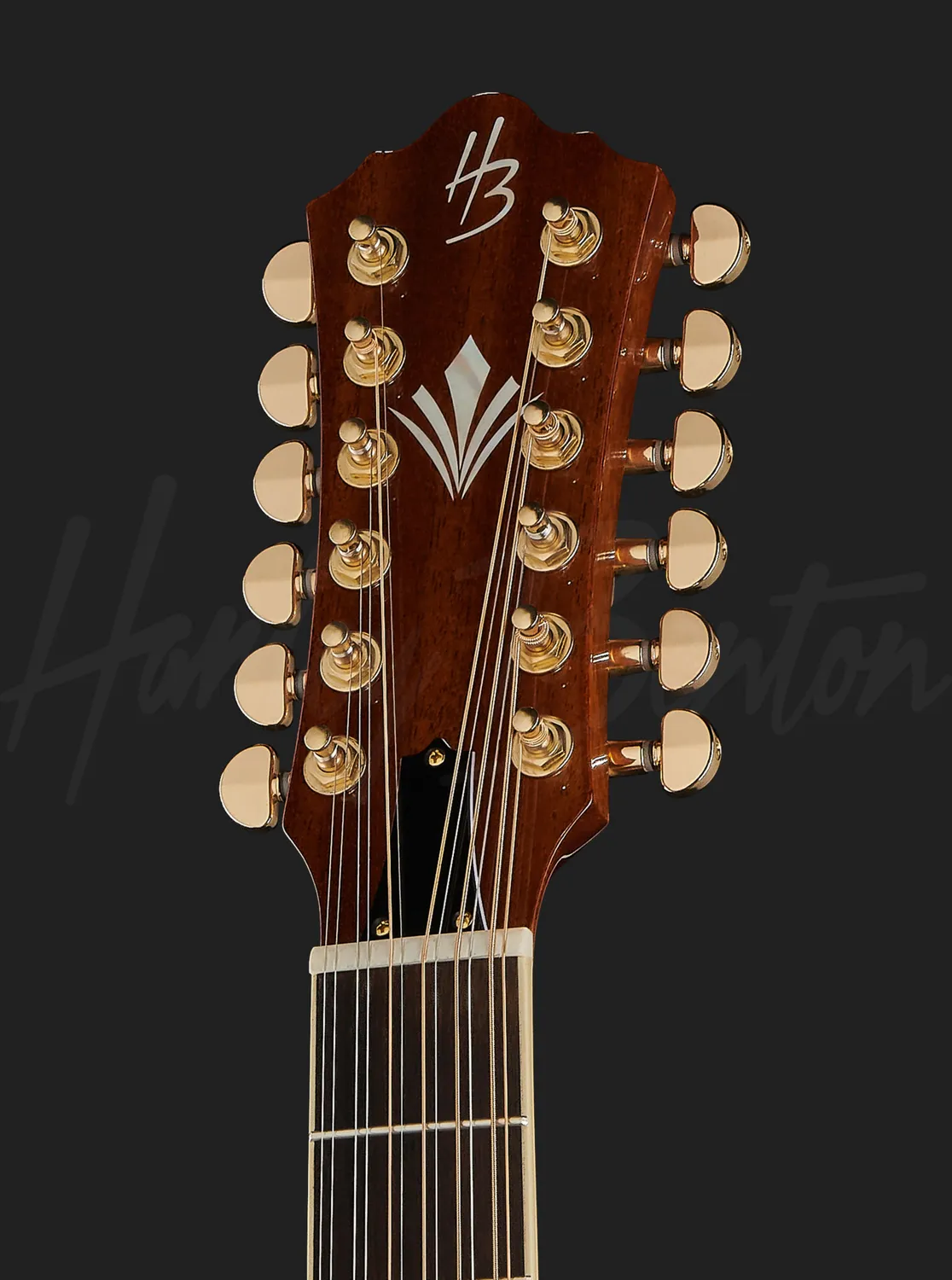 Harley Benton Custom Line CLJ-412E 12-saitige Gitarre Jumbo links natur