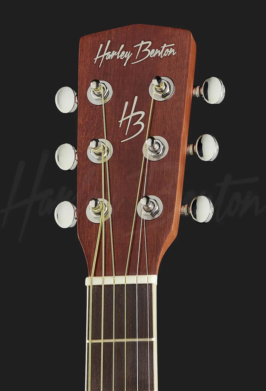 Harley Benton Custom Traveler-E-Steel Reisegitarre Tasche Stahl