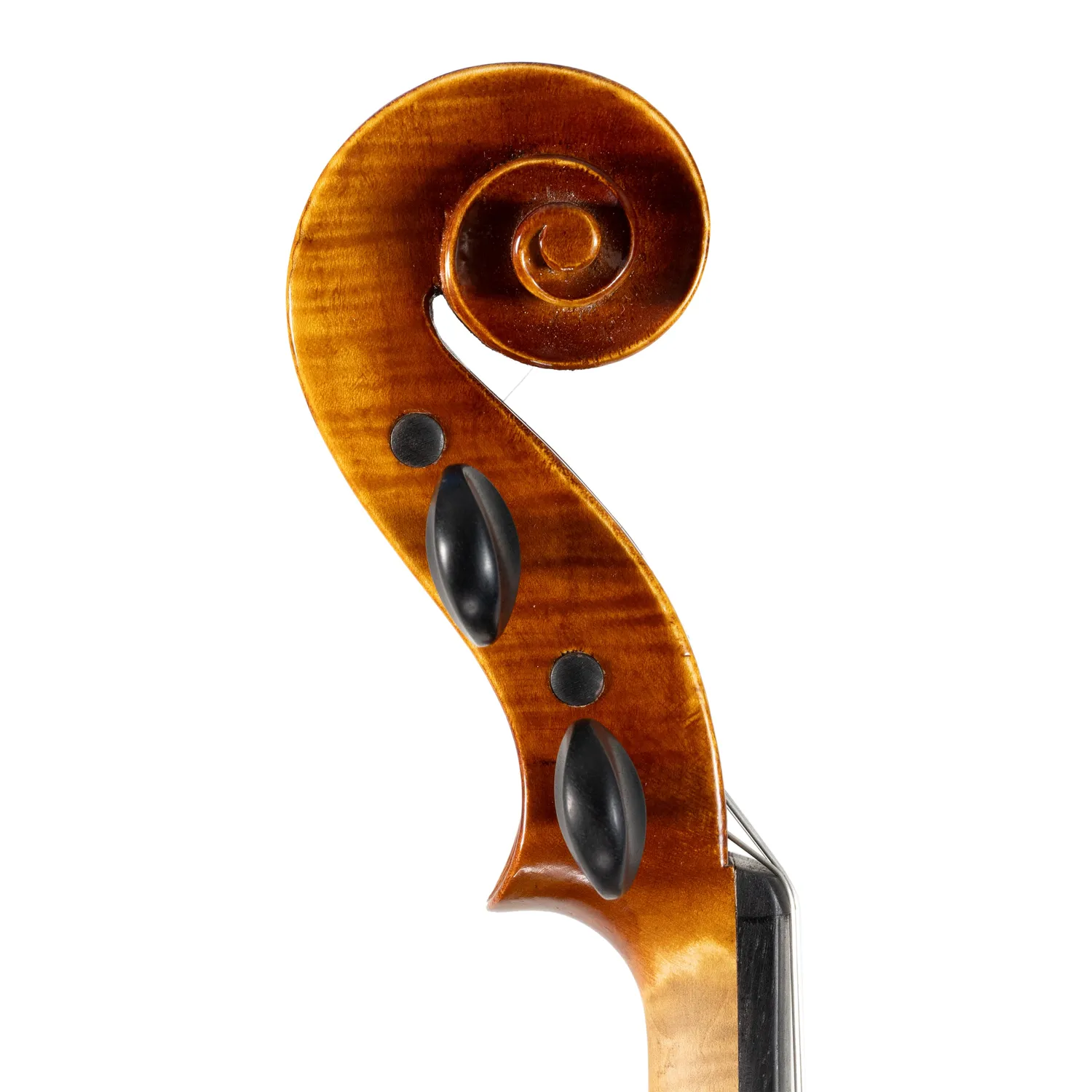 Shar Workshop Premium Violine 4/4 Evah Pirazzi Ebenholz