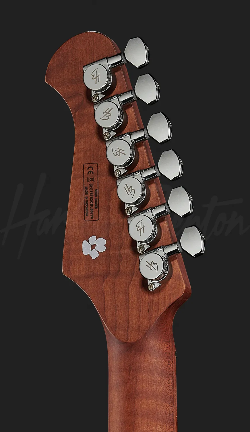 Harley Benton Rock Series HP-42 Signature TT E-Gitarre Roasted P90
