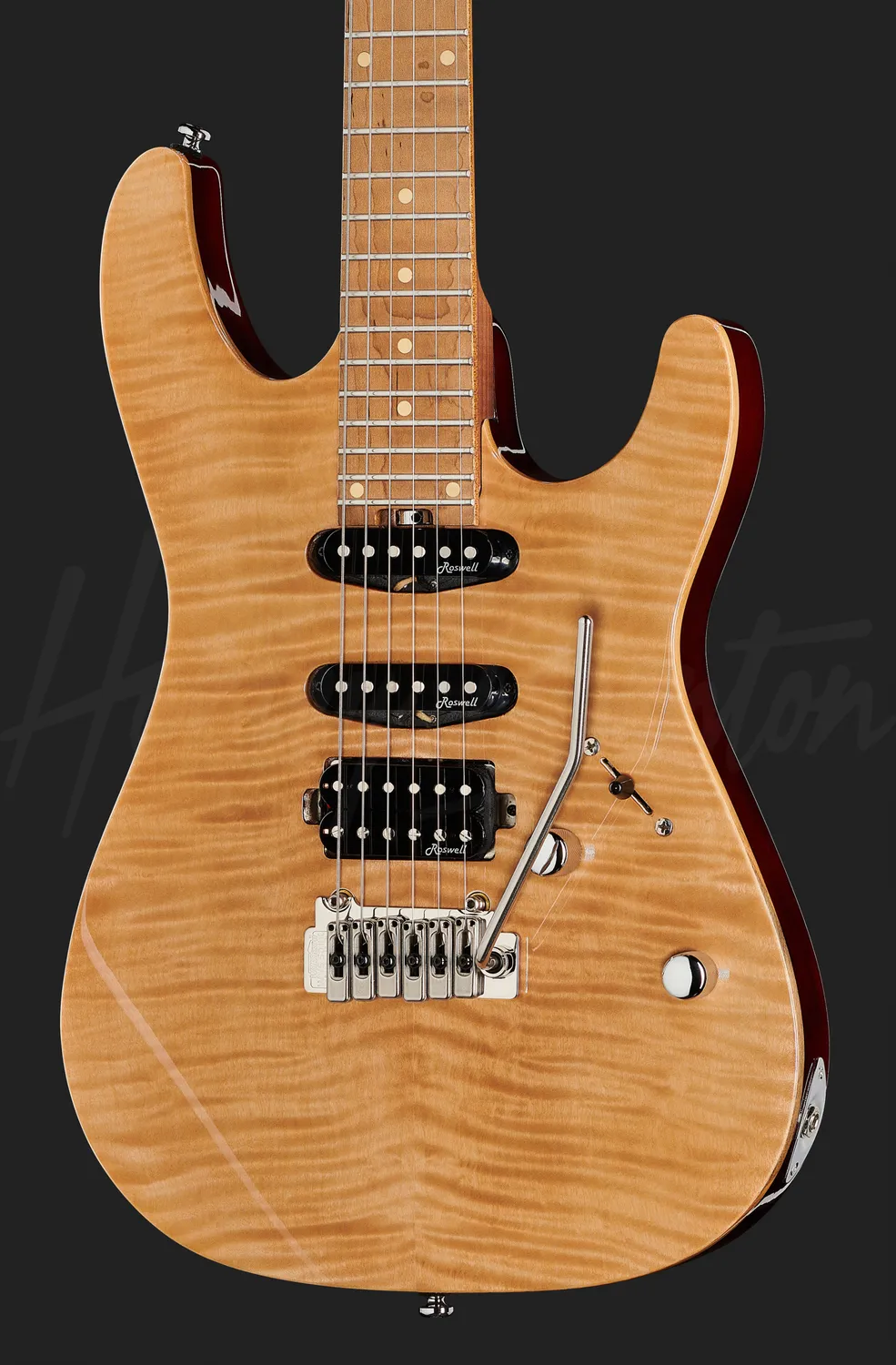 Harley Benton Fusion-III HSS E-Gitarre Roasted FNT