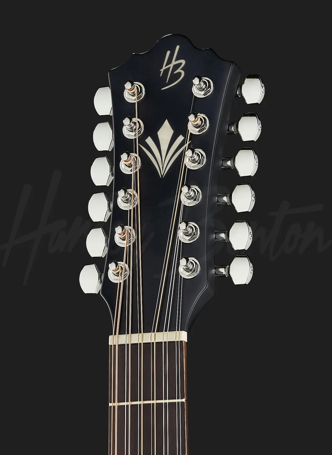Harley Benton Custom Line CLD-10SCE-12 Westerngitarre 12-saitig Schwarz