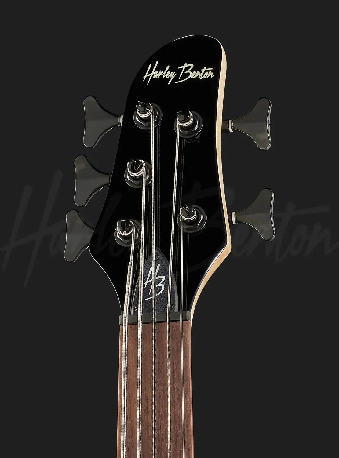 Harley Benton Pro B-550FL E-Bass 5-Saiter Fretless Schwarz