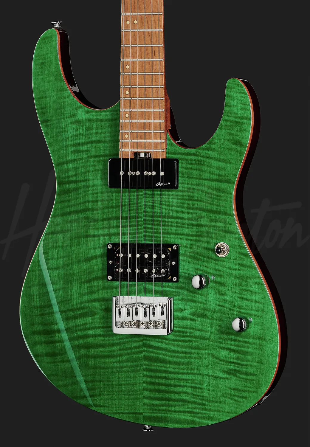 Harley Benton Rock Series HP-42 Signature TT E-Gitarre Roasted P90