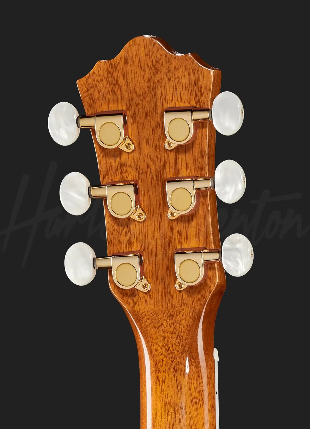 Harley Benton CLJ-503CE WN Westerngitarre Walnuss