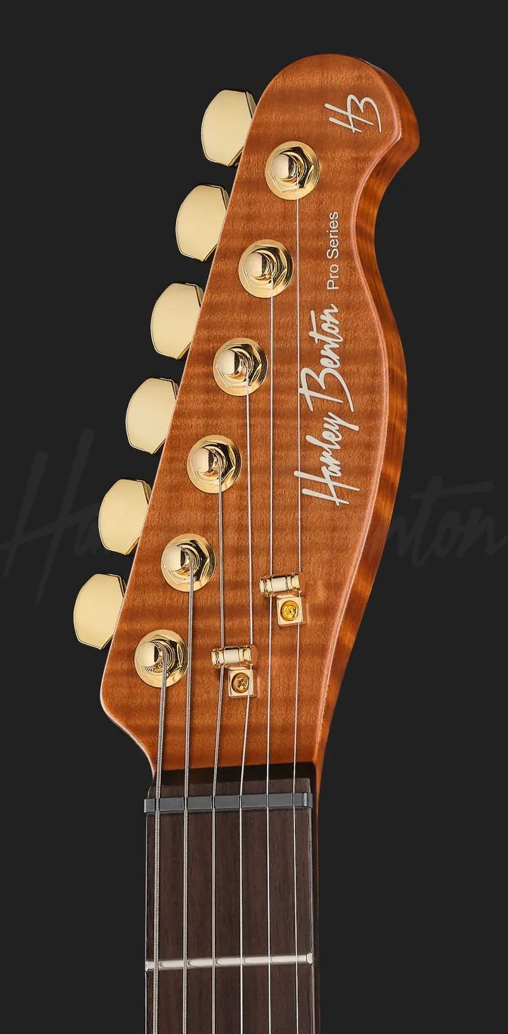 Harley Benton Fusion-T II HH RW HT E-Gitarre FBB Hardtail