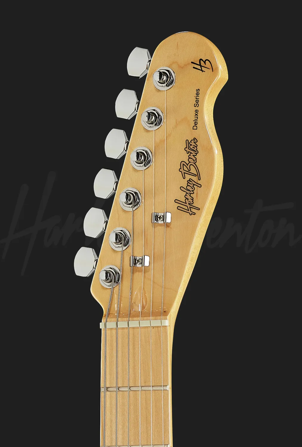 Harley Benton Classic TE-70 E-Gitarre Black Paisley