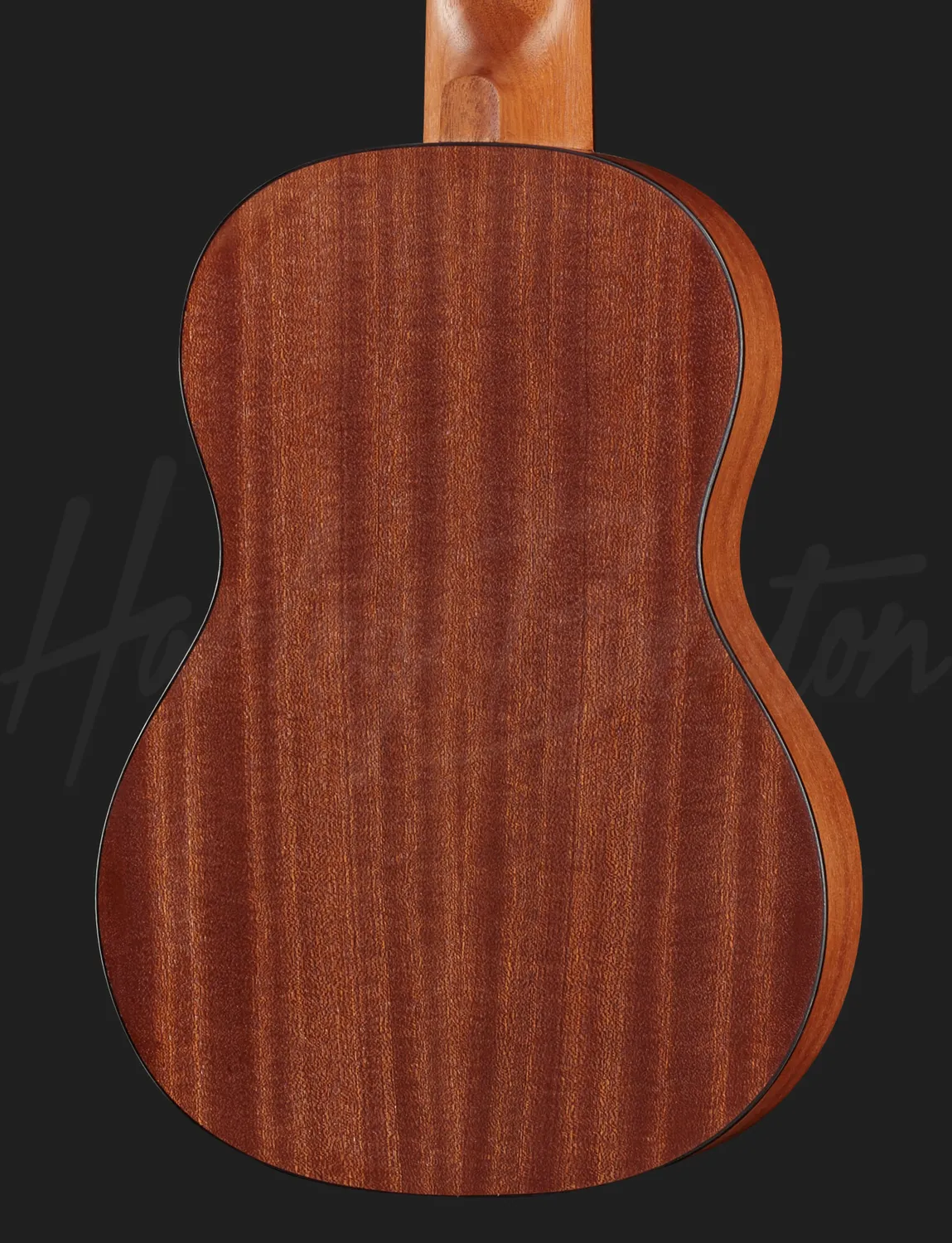 Harley Benton Santos Series GL-2NT Guitalele Natur Nylon Reise