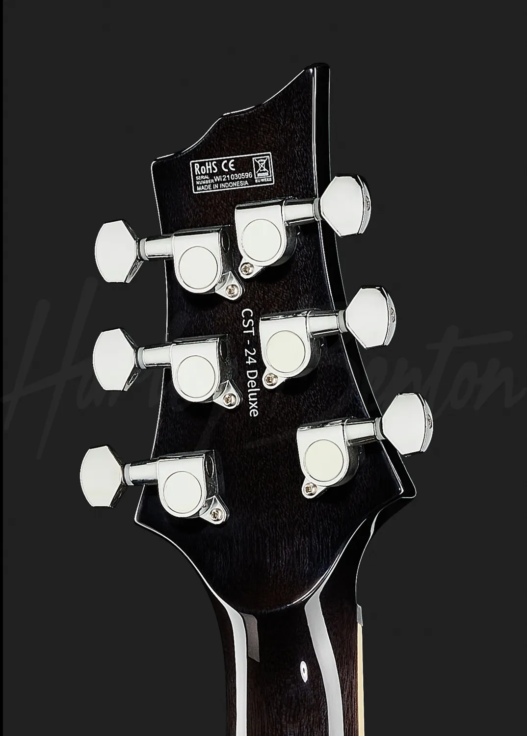 Harley Benton CST-24T Black Flame E-Gitarre Ahorn