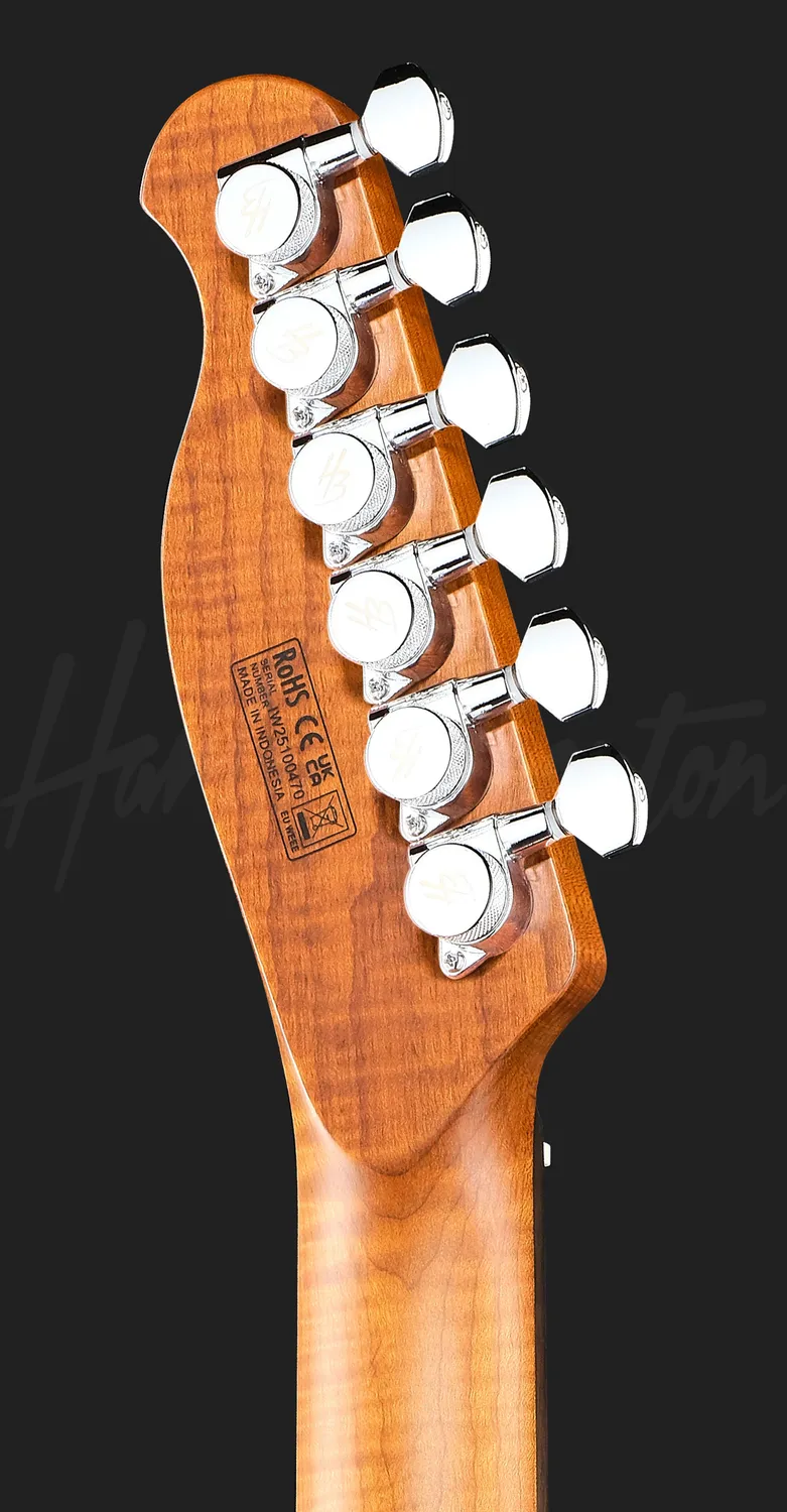 Harley Benton Fusion-T II HH RW QRB E-Gitarre Zebra