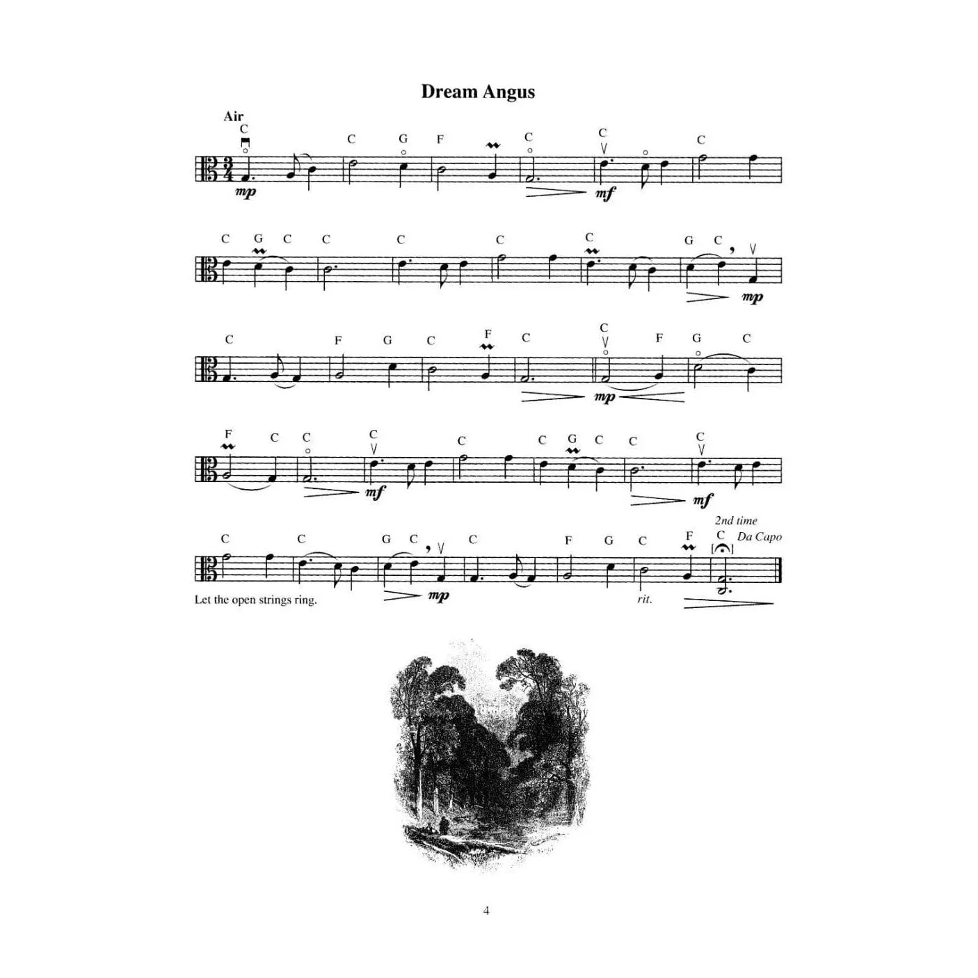 Mel Bay Scottish Fiddling Bratschennoten Viola 45 Stücke
