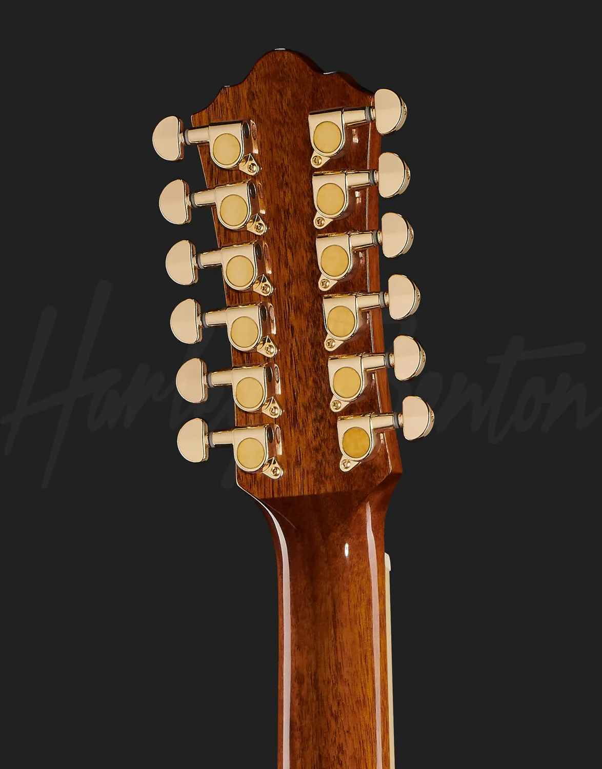 Harley Benton Custom Line CLJ-412E 12-saitige Gitarre Jumbo links natur