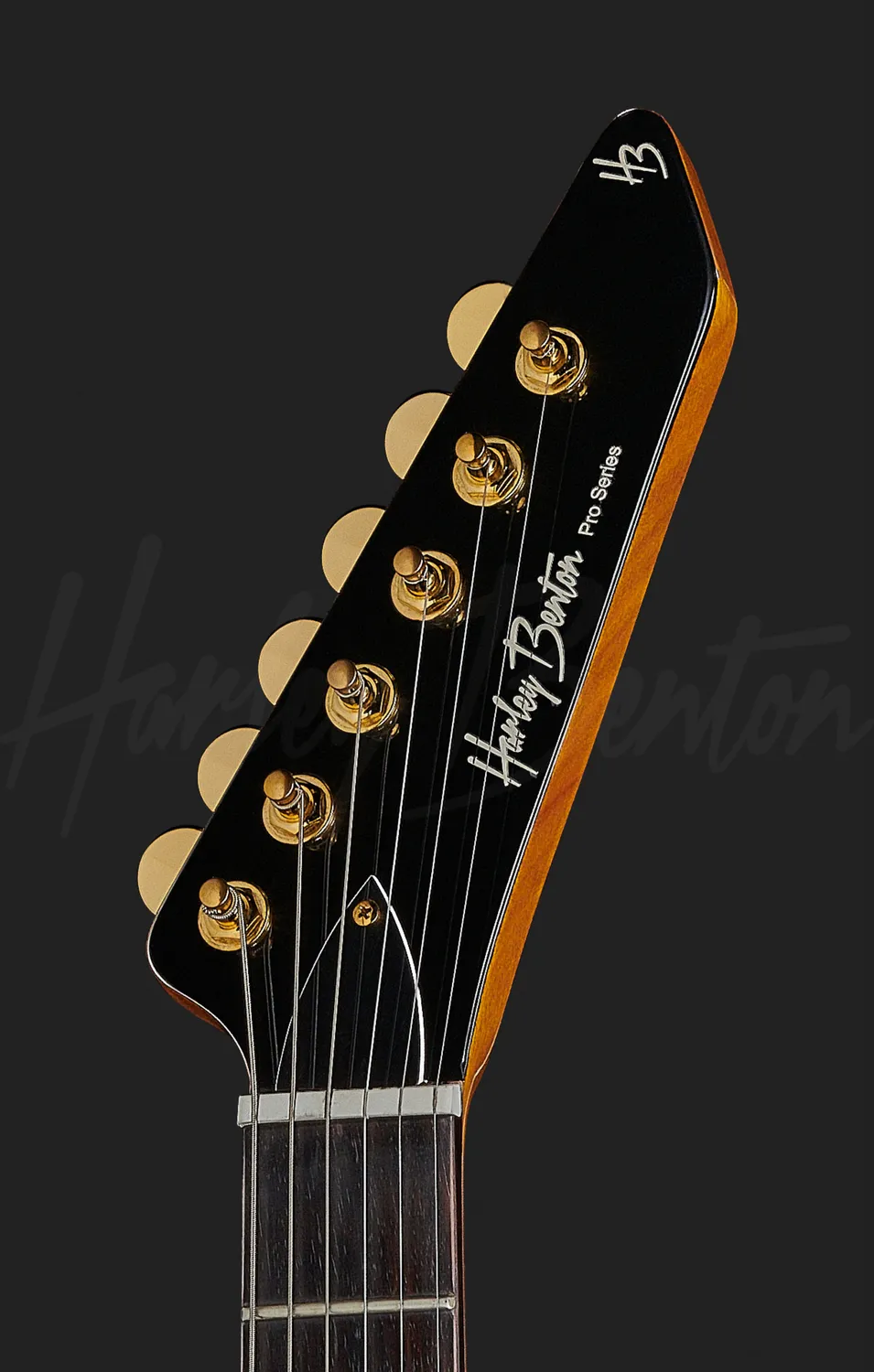 Harley Benton EX-76 Classic E-Gitarre Antik Natur Ebenholz