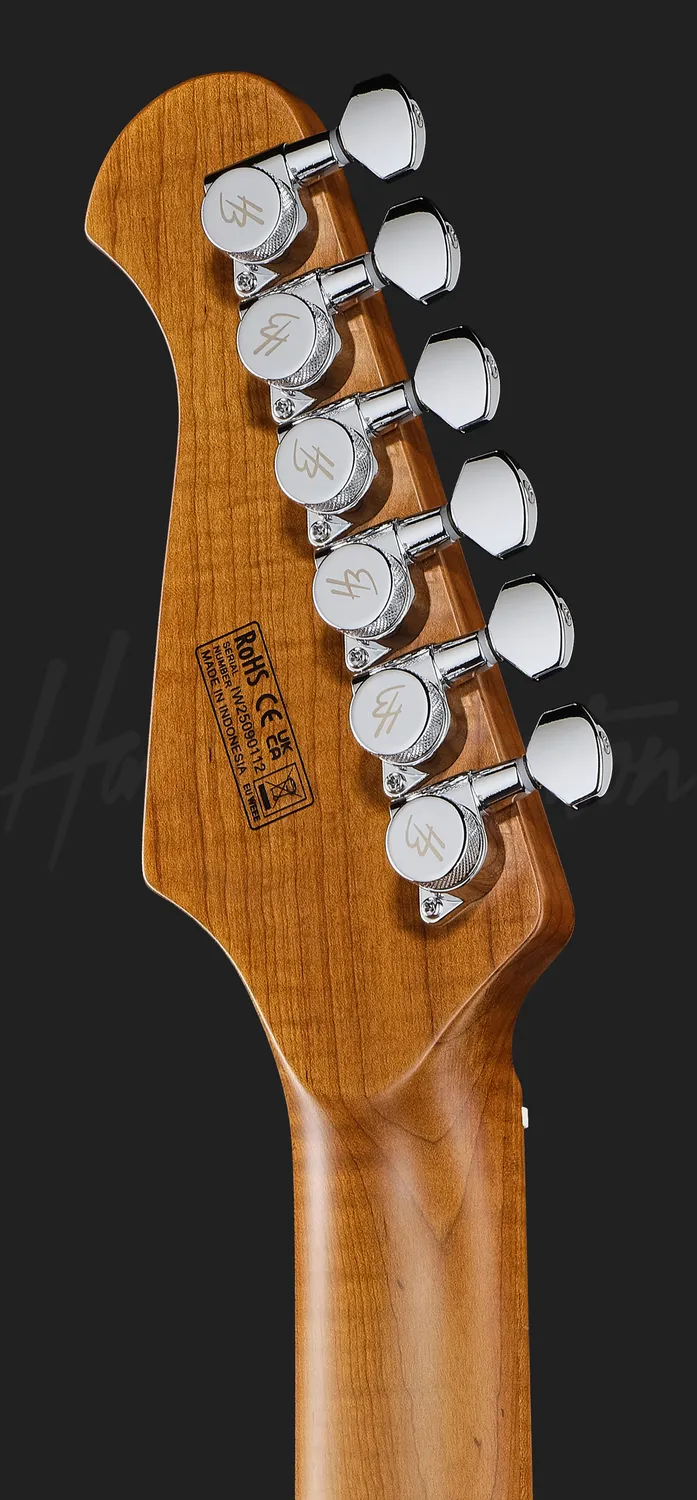 Harley Benton Progressive Fusion-IV HH E-Gitarre Blue Burst