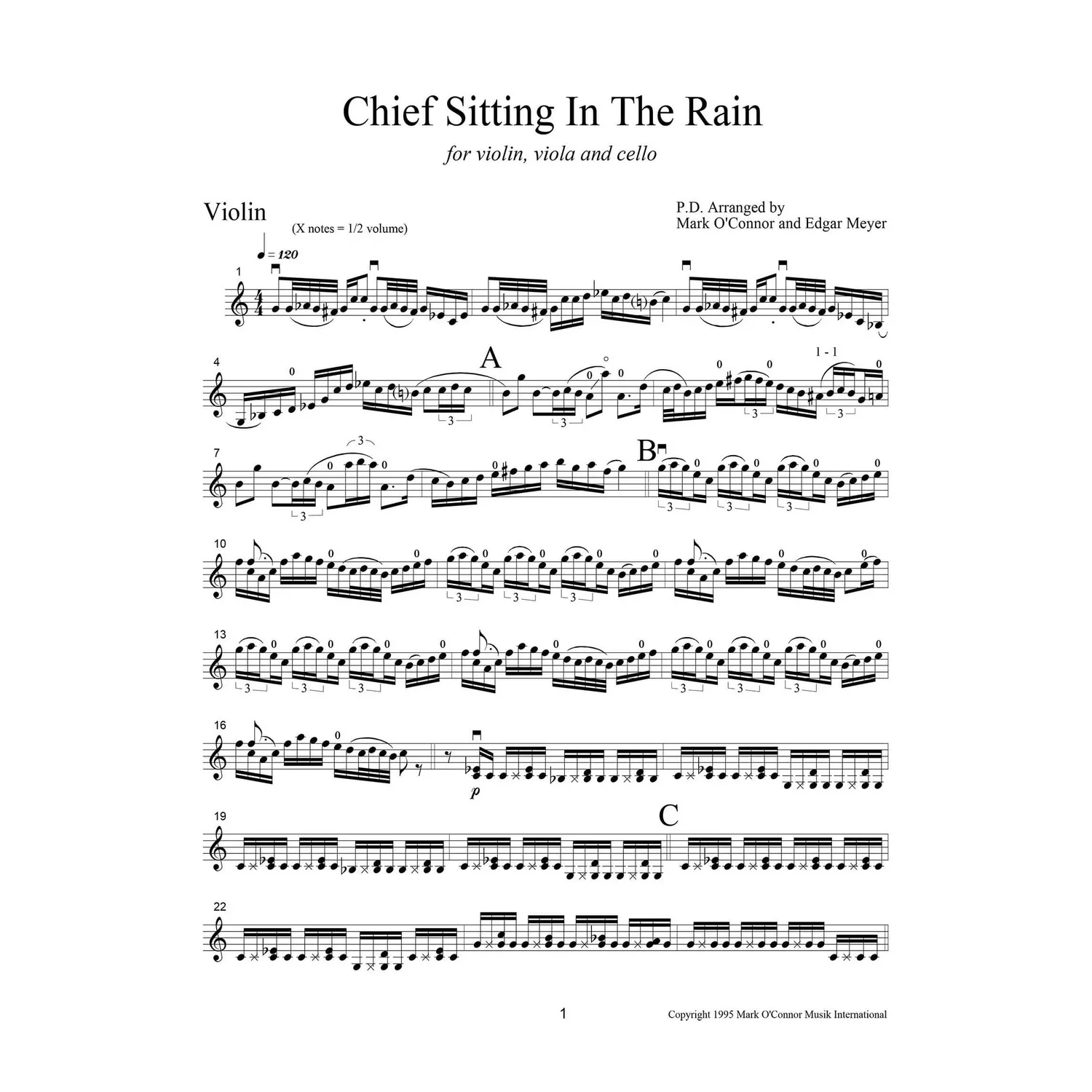 O'Connor Chief Sitting In The Rain Violine Download