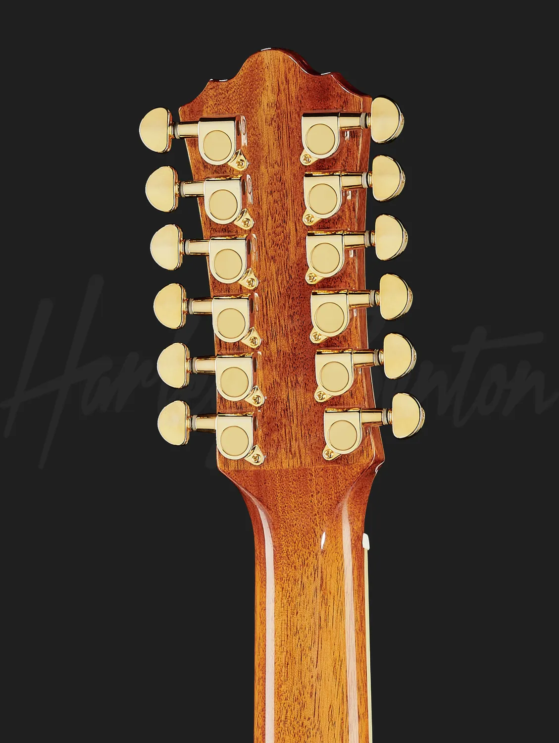 Harley Benton Custom Line CLJ-412E NT 12-Saiter Jumbo