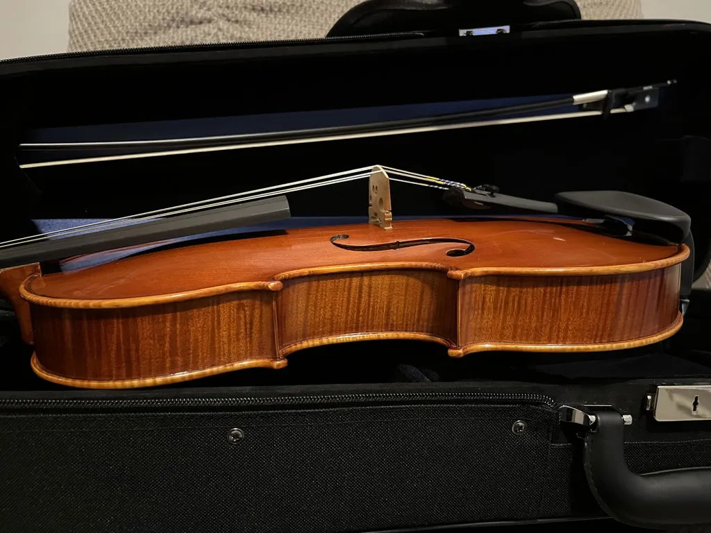 Carlo Lamberti Sonata 15,5" Bratsche gebraucht Ebenholz