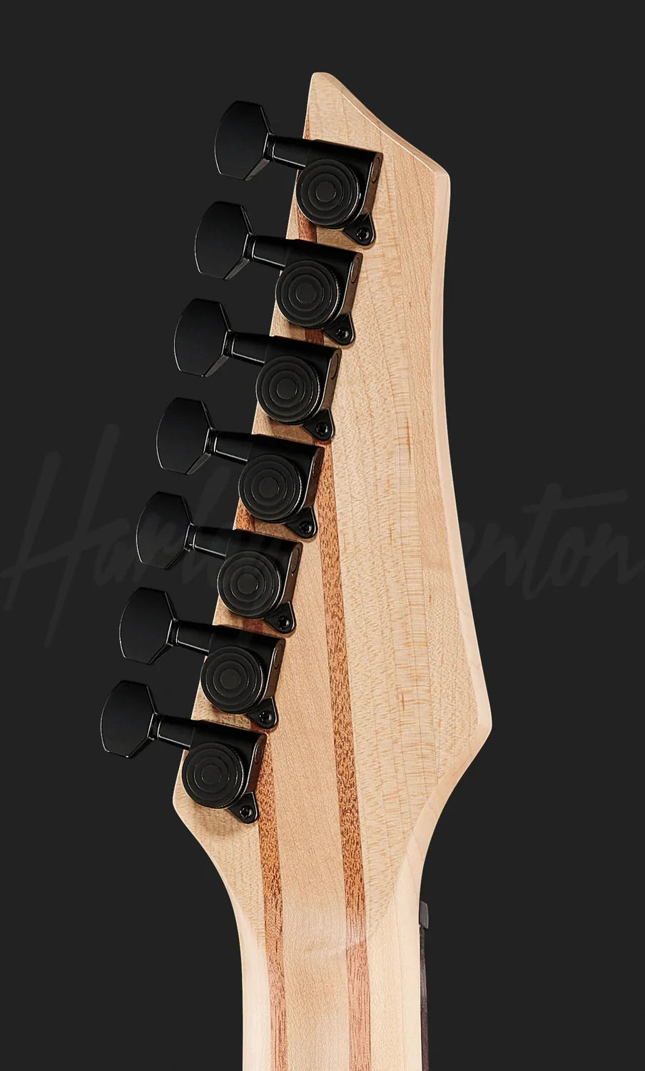 Harley Benton Progressive MultiScale-7 E-Gitarre 7-Saiter Burst