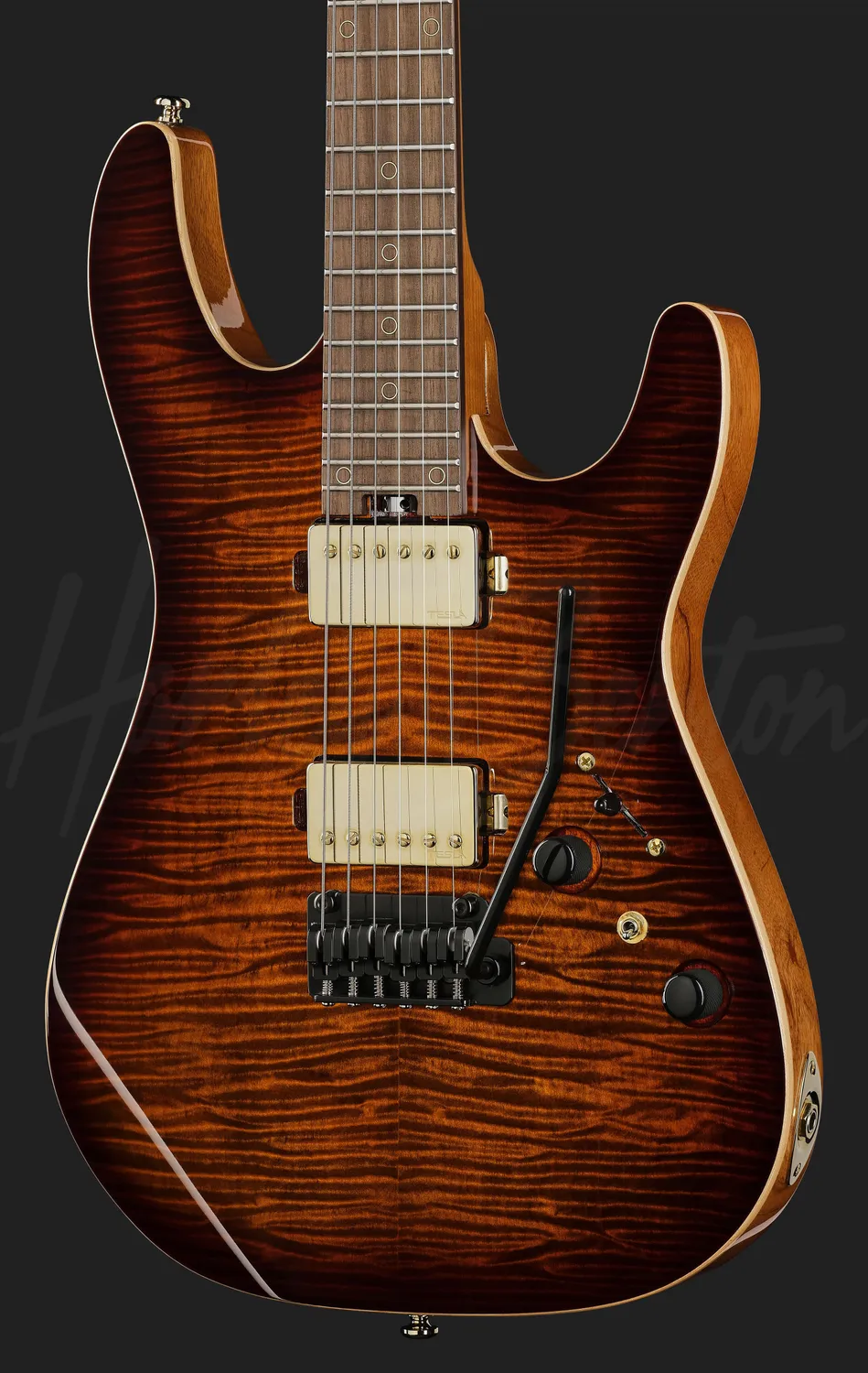 Harley Benton Progressive Fusion-IV HH E-Gitarre Bengal Burst