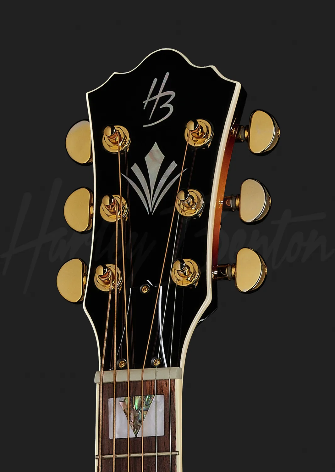Harley Benton Custom Line CL King-CE Westerngitarre VS Tonabnehmer