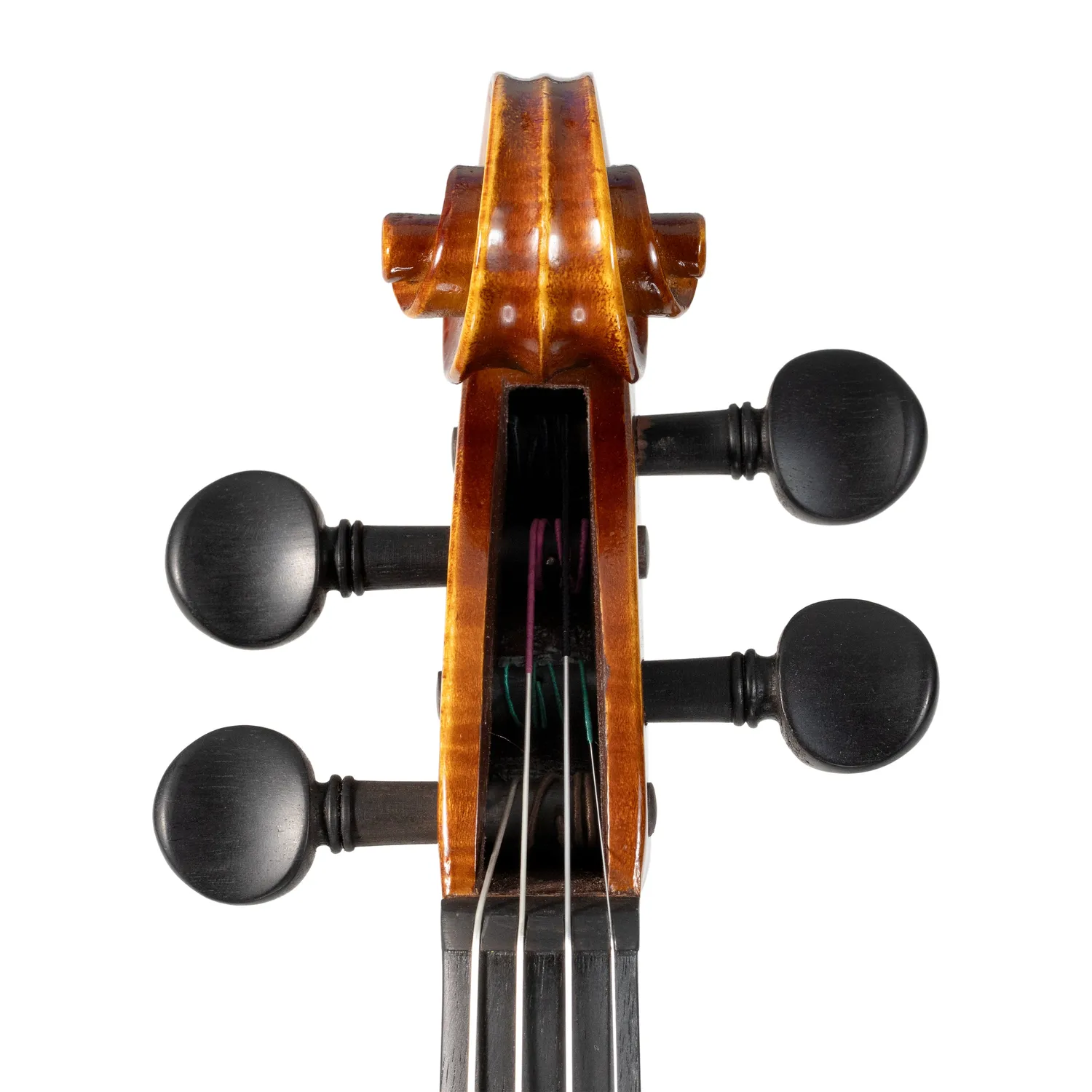 Shar Workshop Premium Violine 4/4 Evah Pirazzi Ebenholz