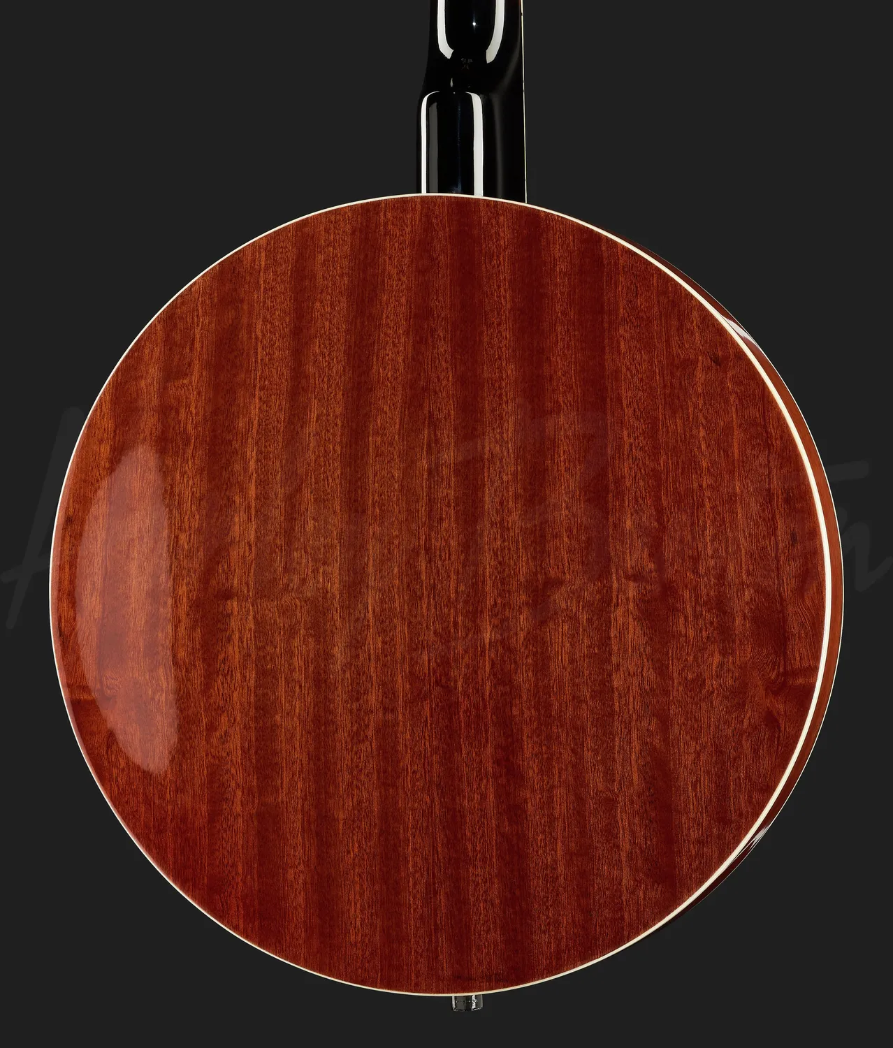 Harley Benton HBJ-24 Tenor-Banjo Short Scale Sapele