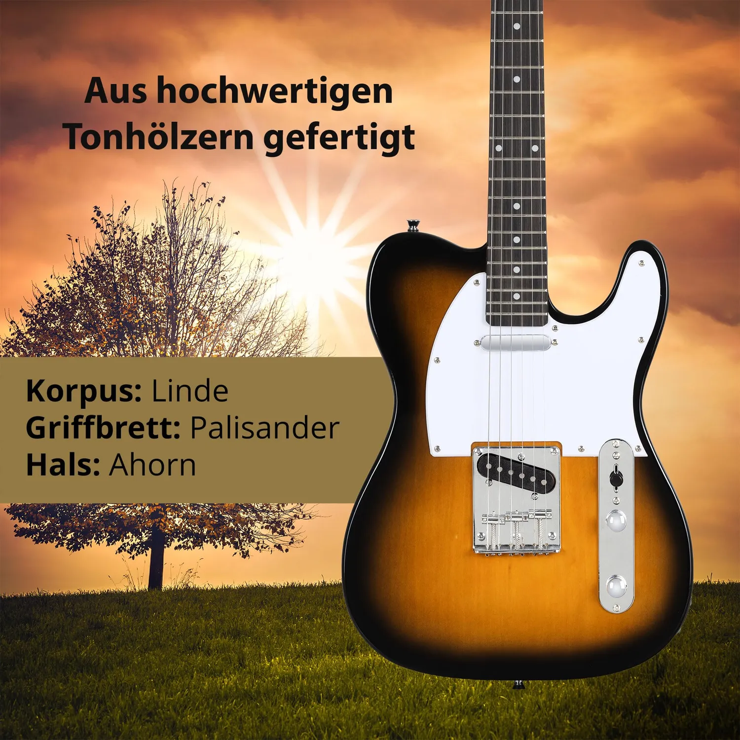 Rocktile Pro TL100-SB E-Gitarre Sunburst Set mit Zubehör