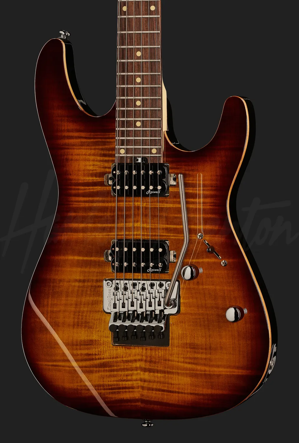 Harley Benton Fusion-III HH FR E-Gitarre FBB