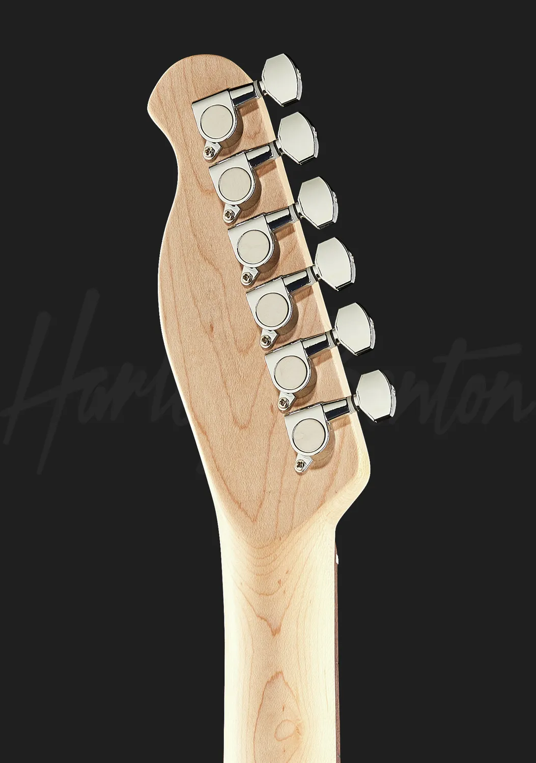 Harley Benton Student TE-20 BK E-Gitarre Schwarz Single-Coil