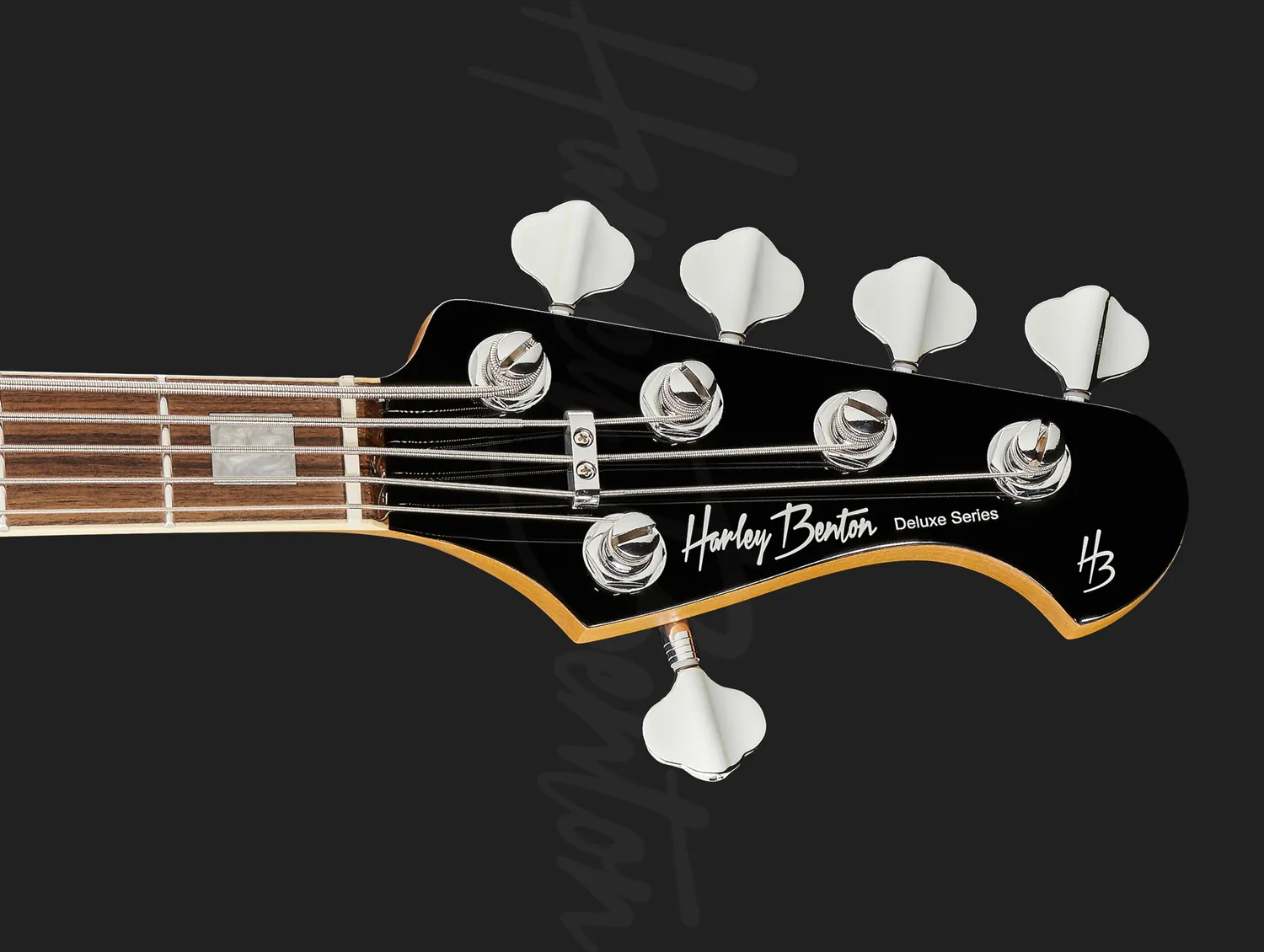 Harley Benton MV-5JB Black E-Bass 5-saitig Alnico