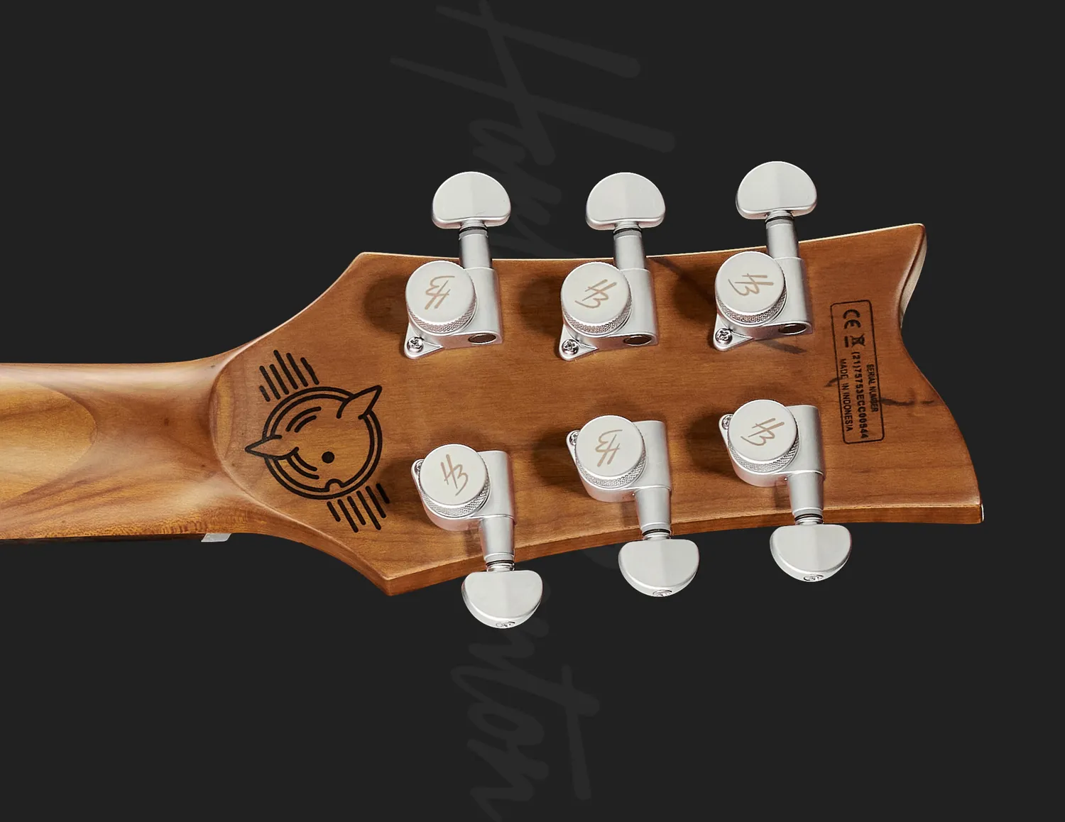 Harley Benton Pro Series Agufish STD E-Gitarre Black Satin