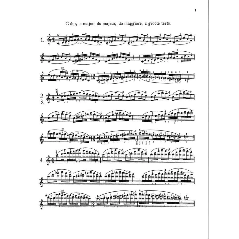 Carl Fischer Flesch Skalensystem Violine Rostal Noten