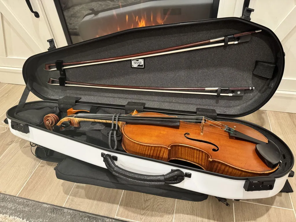 Lion 1600 Bratschenkoffer Carbon Ode To Blue 14-18 Zoll
