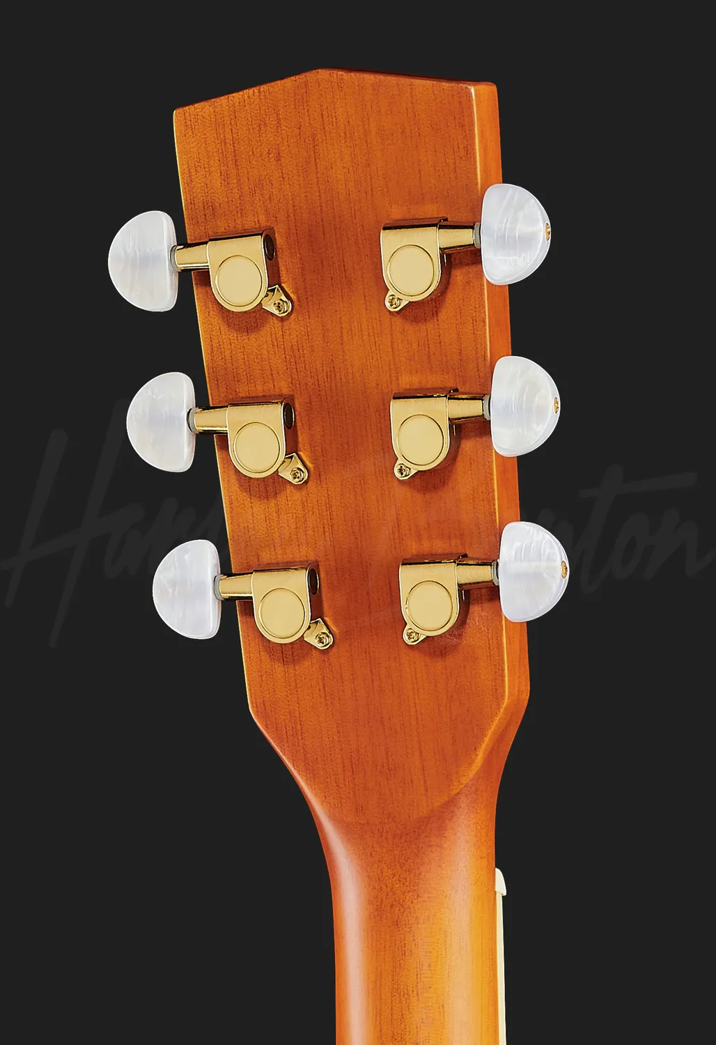 Harley Benton Santos CG-45E Westerngitarre Sunburst