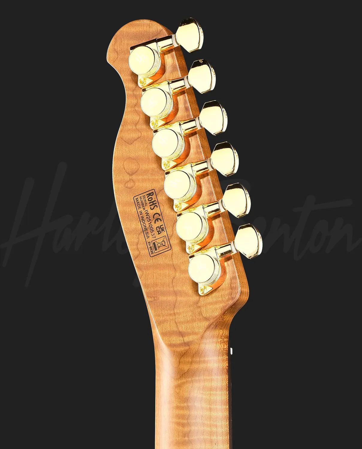 Harley Benton Progressive Fusion-T II HH RW SGD E-Gitarre Satin Gold