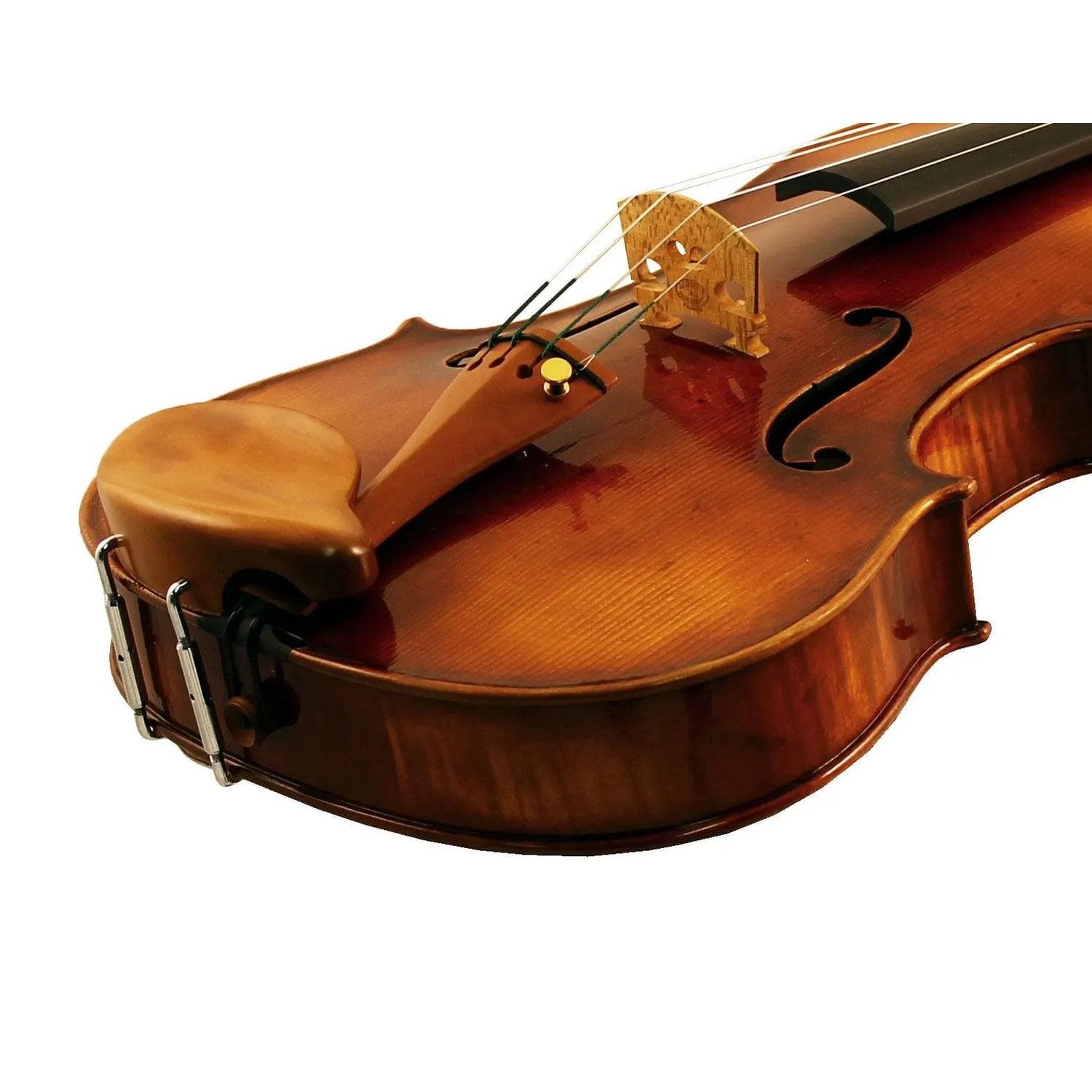 Gordon Viola Kinnhalter Buchsbaum hoch 28 mm