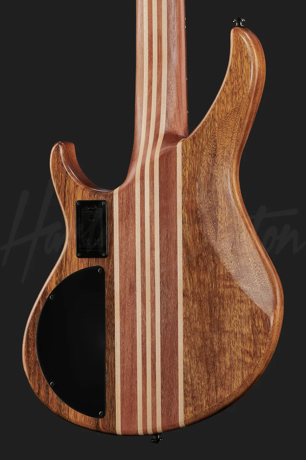 Harley Benton Pro HBZ-2005FL E-Bass 5-Saiter Bundlos Natur