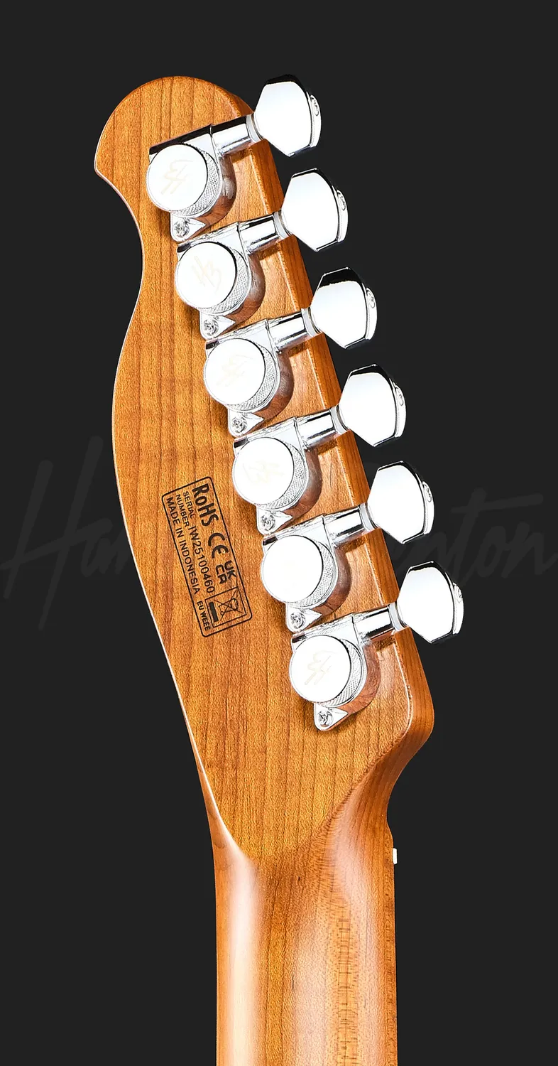 Harley Benton Progressive Fusion-T II HH MN HT QBLB E-Gitarre Fixed