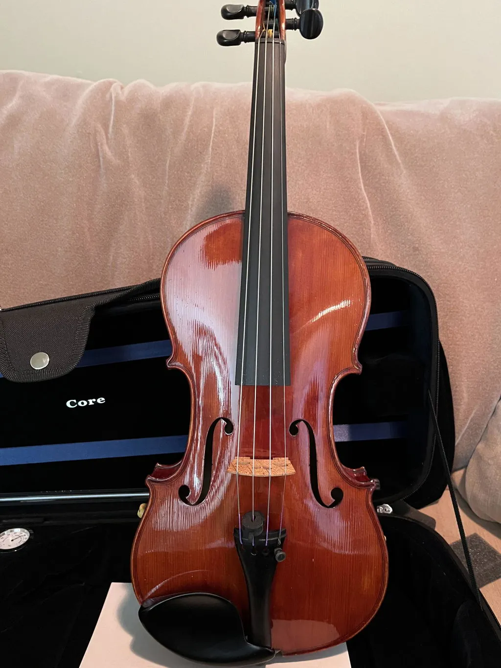 Thomastik-Infeld Peter Infeld PI Violinsaiten Satz 4/4 mittel